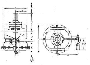 fisher1098-EGR,ȼ豸